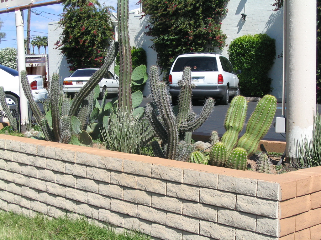 1002x745 pixels (619K)